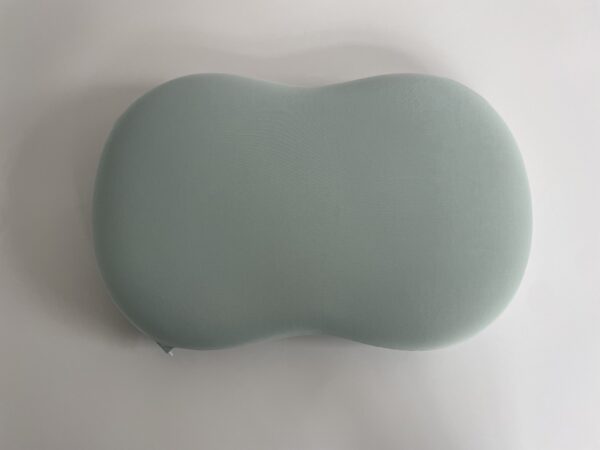Sleeping Pillow