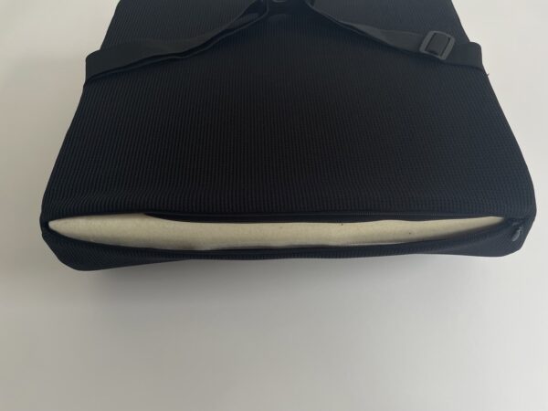 Cushion